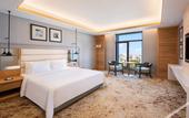 Туры в отель The Residency Towers Puducherry