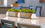 Туры в отель Cambria Hotel Orlando Airport