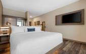 Туры в отель Cambria Hotel Orlando Airport