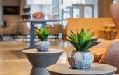 Туры в отель Cambria Hotel Orlando Airport