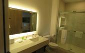 Туры в отель Wyndham Garden College Station
