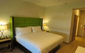 Туры в отель Wyndham Garden College Station