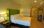 Туры в отель Wyndham Garden College Station