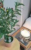 Туры в отель [Agoda Pick] Elmomento Gwangan Residence