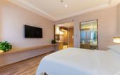 Туры в отель Vienna Hotel (Lingao Store)