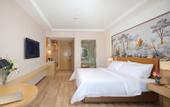 Туры в отель Vienna Hotel (Lingao Store)
