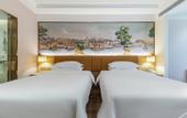 Туры в отель Vienna Hotel (Lingao Store)