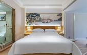 Туры в отель Vienna Hotel (Lingao Store)