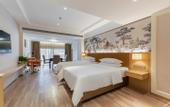 Туры в отель Vienna Hotel (Lingao Store)