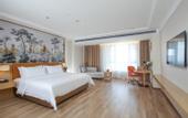 Туры в отель Vienna Hotel (Lingao Store)