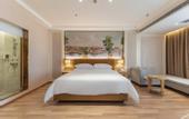 Туры в отель Vienna Hotel (Lingao Store)
