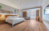 Туры в отель Vienna Hotel (Lingao Store)