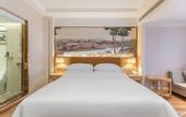 Туры в отель Vienna Hotel (Lingao Store)