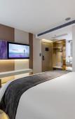 Туры в отель Lavande Hotel (Foshan West Railway Station Shishan)