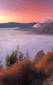 Туры в отель Lava View Lodge