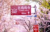 Туры в отель voco NANJING ORIENTAL PEARL by IHG