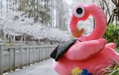 Туры в отель voco NANJING ORIENTAL PEARL by IHG