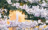 Туры в отель voco NANJING ORIENTAL PEARL by IHG