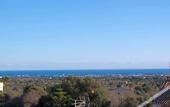 Туры в отель Petit Hotel Sant Miquel - Adults Only