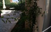 Туры в отель Petit Hotel Sant Miquel - Adults Only