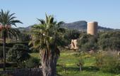 Туры в отель Petit Hotel Sant Miquel - Adults Only