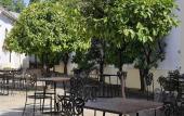 Туры в отель Hotel Bodega Tio Pepe
