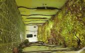 Туры в отель Hotel Bodega Tio Pepe