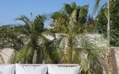 Туры в отель Hotel Bodega Tio Pepe