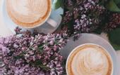 Туры в отель Rivage Hotel & Spa Annecy