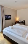Туры в отель Amedia Lustenau, Trademark Collection by Wyndham