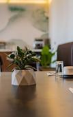 Туры в отель Fulton Business Luxury Hotel