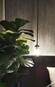 Туры в отель Fulton Business Luxury Hotel
