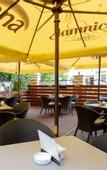 Туры в отель Hotel Vila Tina