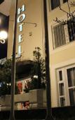 Туры в отель Hotel Vila Tina