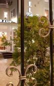Туры в отель Hotel Vila Tina