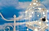 Туры в отель De Bedstee Boutique Capsules