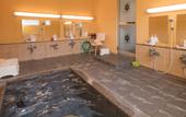 Туры в отель Sachinoyu Hotel Shiga Kogen