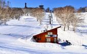 Туры в отель Sachinoyu Hotel Shiga Kogen