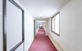 Туры в отель Sachinoyu Hotel Shiga Kogen