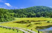 Туры в отель Sachinoyu Hotel Shiga Kogen