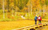 Туры в отель Sachinoyu Hotel Shiga Kogen