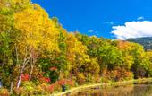 Туры в отель Sachinoyu Hotel Shiga Kogen