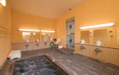 Туры в отель Sachinoyu Hotel Shiga Kogen