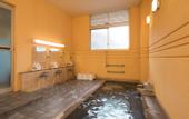 Туры в отель Sachinoyu Hotel Shiga Kogen
