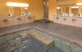 Туры в отель Sachinoyu Hotel Shiga Kogen