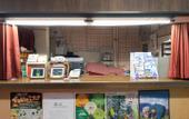 Туры в отель Sachinoyu Hotel Shiga Kogen