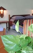 Туры в отель Rini Hotel