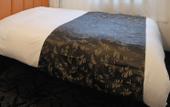 Туры в отель Apa Hotel Shizuoka Ekikita