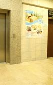 Туры в отель Ancere Thermal Hotel & Spa