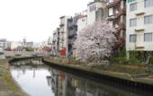 Туры в отель Wakayama Green Hotel